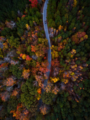 Beautiful Aerial Drone Photo from Above Amazing Vibrant Fall Foliage Forest in Autumn with Colorful Orange, Red, Yellow Leaves in Pine Tree Forest with Small Winding Back Country Road with Truck