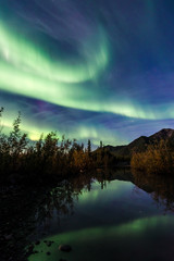 Fototapeta na wymiar Aurora Borealis Green and Purple Northern Lights Shine Bright in Alaska Starry Night Sky over Trees with Reflection in Water of Lake with Colorful Autumn Leaves Beautiful Phenomenon 