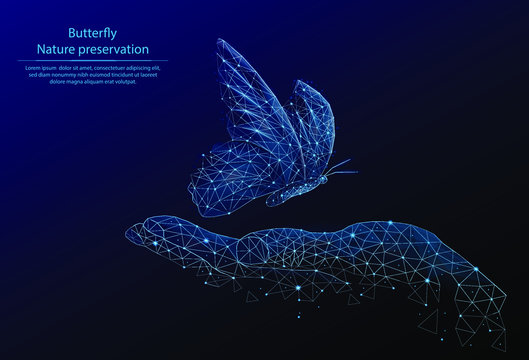 Abstract image Butterfly and hand in the form of a starry sky or space, consisting of points, lines, and shapes in the form of planets, stars and the universe. 3D Low poly vector. Nature protection