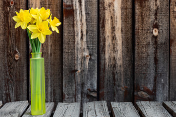 Bunch of bright yellow spring daffodils in a yellow glass vase on a rustic plank table.