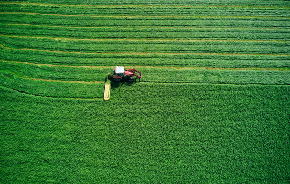 Small tractor making level harrows on field