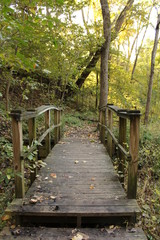 wooden bridge in forest