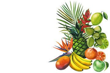 Watercolor set fruit hand drawing decorative background. Print for textile, cloth, wallpaper, scrapbooking