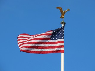 American flag and eagle