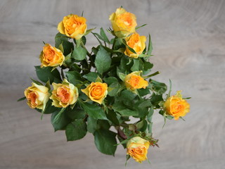 bouquet of yellow flowers on white background