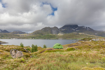 Green tent on beach seashore in summer. Camping on ocean shore. Lofoten archipelago Norway. Holidays and travel.