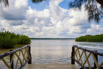 Fototapeta na wymiar Mangroven in der Karibik - Belize