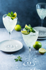 Summer cocktail mojito