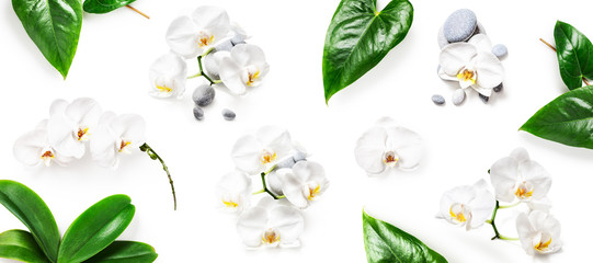 White orchid flowers, leaves and spa stones composition