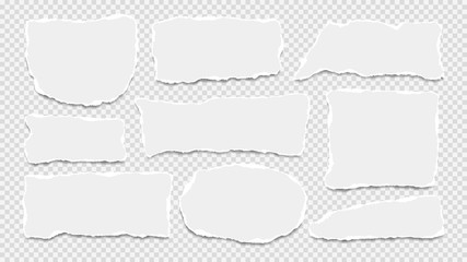 Torn white note, notebook paper strips, pieces stuck with sticky tape on grey squared background. Vector illustration