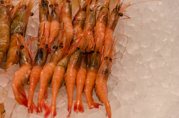 Fresh shrimp seafood on ice on public market in Japan