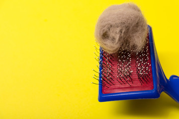 Comb for animal hair and gray wool on a yellow background. Animal hairbrush.
