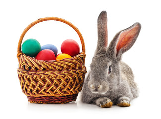 Rabbit and Easter eggs.