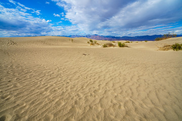 mesquite flat sand dunes in death valley, california, usa