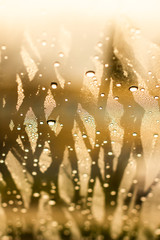 Drops of the water on a misted glass of a car. Water drops background.
