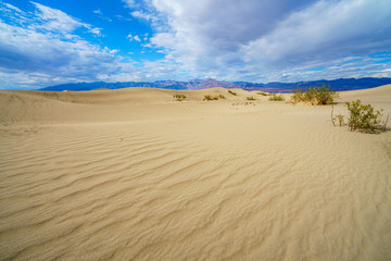 mesquite flat sand dunes in death valley, california, usa
