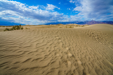 mesquite flat sand dunes in death valley, california, usa
