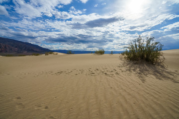mesquite flat sand dunes in death valley, california, usa
