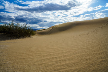 mesquite flat sand dunes in death valley, california, usa