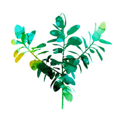 Ficus silhouette. Multi-colored watercolor tree. Mixed media. Vector illustration