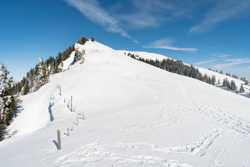 Fototapeta na wymiar Snowshoe tour on the Hochgrat in the Allgau