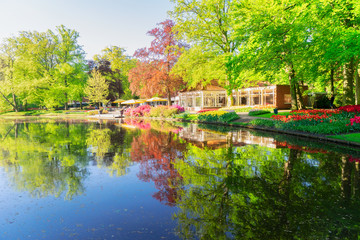 Fototapeta na wymiar spring pond in park