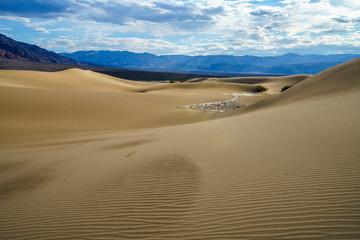 mesquite flat sand dunes in death valley, california, usa