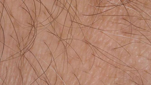 Human skin tracking. Skin with hairs texture close up. Slider shot. 4K