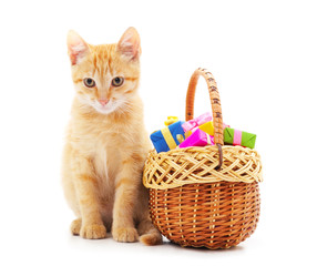 Fototapeta na wymiar Little cat in the basket with a gifts.