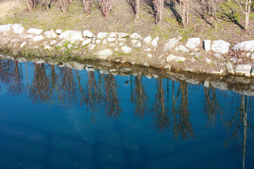 blue water of a pond or small river on the surface of which the reflection of the plants growing on the side is reflected