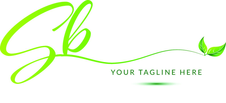 signature logo with initials sb