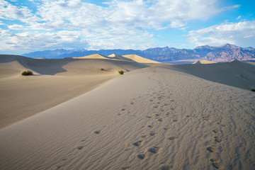 Fototapeta na wymiar mesquite flat sand dunes in death valley, california, usa