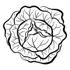 Obraz premium Head of cabbage hand drawn vector illustration. Healthy vegetable isolated on white background. Diet food. Natural vegetarian product. Ink style. For menu, icon, farmers market, grocery, store, print.