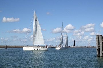 sailboats with white sails in the sea in summer and a blue sky with clouds in the netherlands
