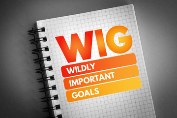 WIG - Wildly Important Goals acronym, business concept background