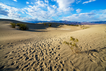 mesquite flat sand dunes in death valley, california, usa