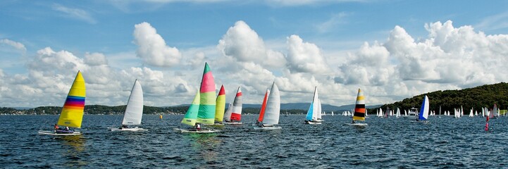 Regatta Panorama. Children Sailing small sailboats (Catamarans) with colourful sails. Australia. Commercial use image. - obrazy, fototapety, plakaty