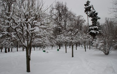 park after a snowfall