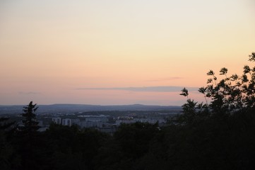 Sunset over the city in the distance and the silhouettes of tree branches.