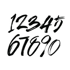 vector set of calligraphic acrylic or ink numbers. ABC for your design, brush lettering on a white background