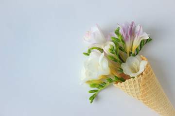 bouquet of delicate flowers in a waffle Cup for ice cream on a white background, top view, large, summer and spring minimalism