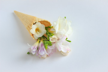 freesia flowers in a waffle cone lie on a white background, close, spring minimalism, festive...