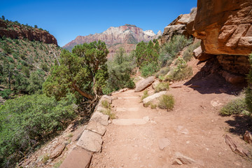 hiking the watchman trail in zion national park, usa