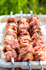 Barbecue. Raw meat on a skewer.Cooking Shish kebab on the grill. Traditional picnic on weekends, holidays and sunny days, hard shadows.Relax in nature.