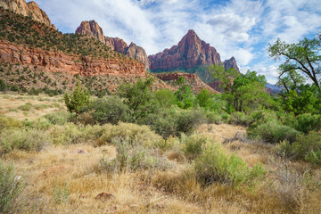 the watchman from parus trail in zion national park, usa