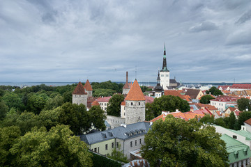 Fototapeta na wymiar View of the center of old Tallinn. Observation deck. Spire. Estonia.