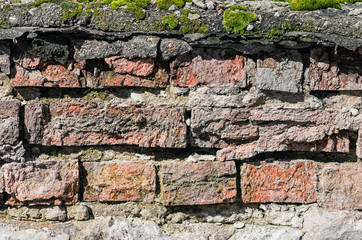 pattern old brick wall and green moss close up