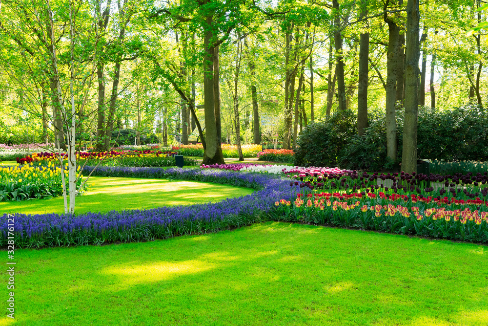 Wall mural fresh lawn with flowers