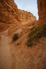 hiking the navajo loop in bryce canyon national park in utah in the usa