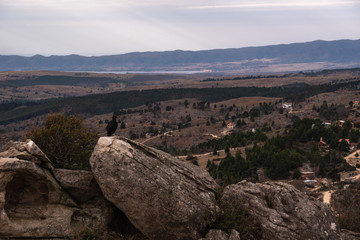Black vulture, zopilote or black jote standing high in a rock looking at a valley